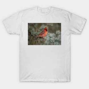 Male Northern Cardinal T-Shirt